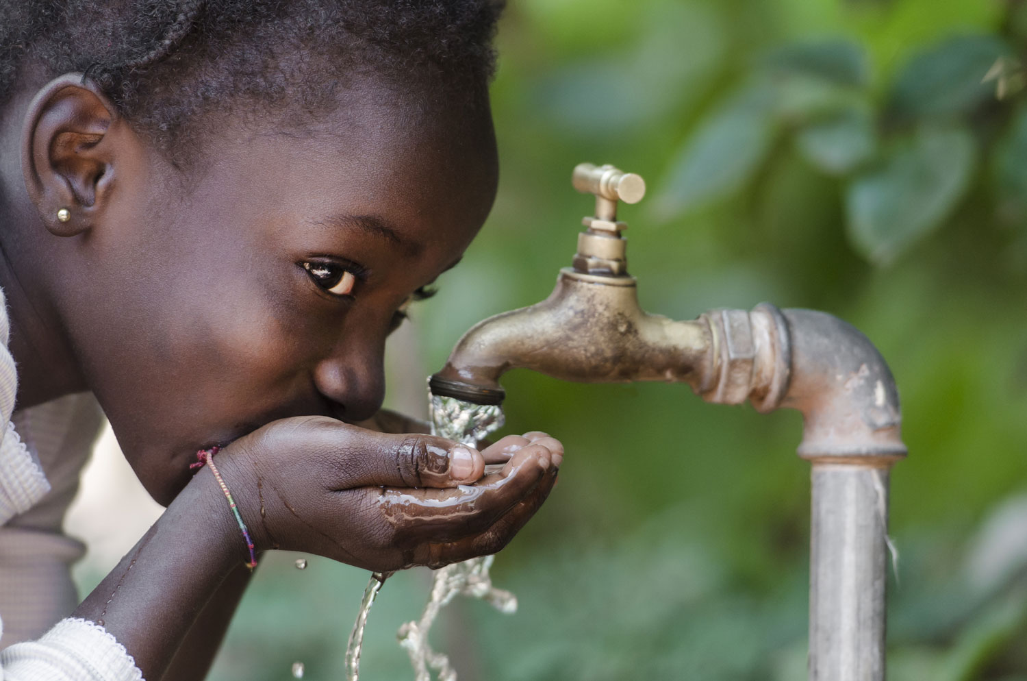 Woman collecting water from ground